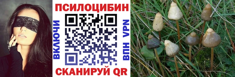 Галлюциногенные грибы ЛСД  Дубовка 