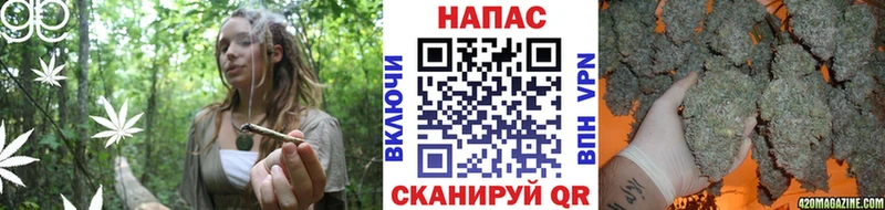 Бошки Шишки White Widow Дубовка